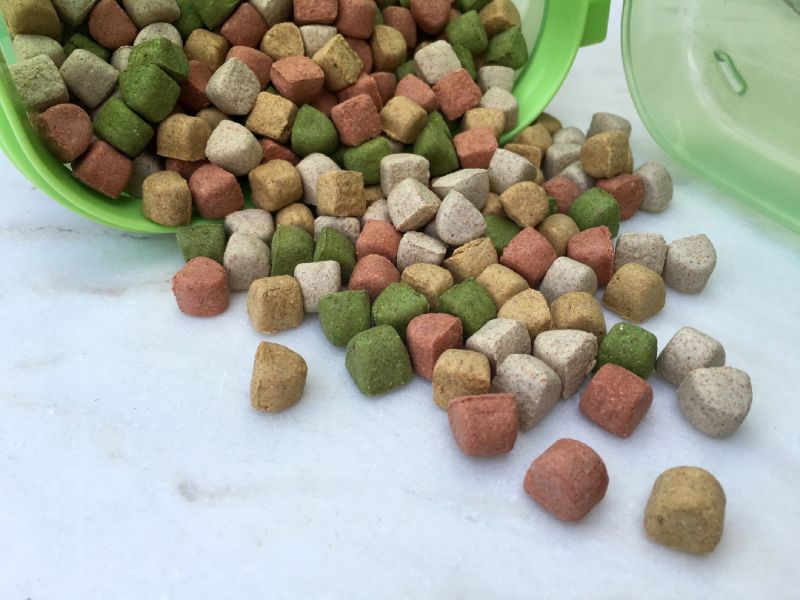 How to store dry dog food for long-term use in plastic containers?