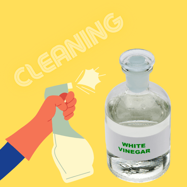 Commit to deep cleaning your breadbox with white vinegar