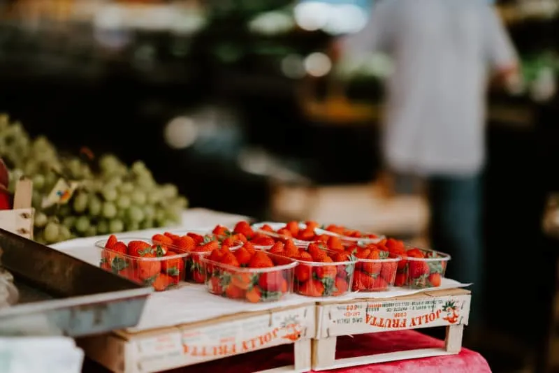 Which Type of Punnet Should You Opt For?