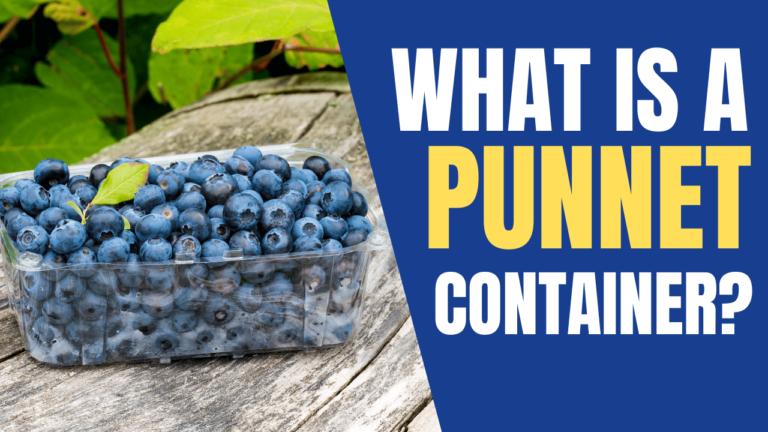 What Is a Punnet Container? (Explained with Helpful Tips)