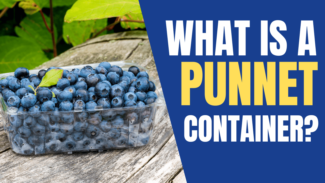 What Is a Punnet Container?