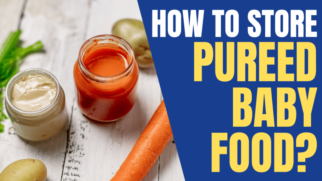 how-do-you-store-pureed-baby-food-solved-explained-container-faqs