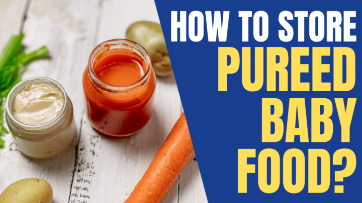 How do you store pureed baby food?
