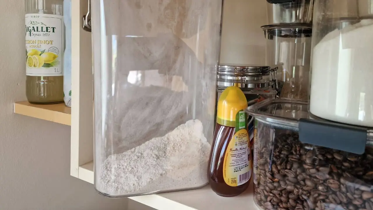 The best container to keep bugs out of flour