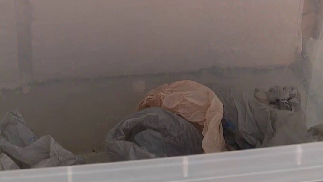 Can I Put Plastic Bags in My Recycling Bin? (Answered) Container FAQs