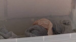 Can I Put Plastic Bags in My Recycling Bin