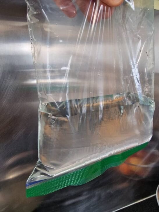 Can You Put Liquids in Ziploc Bags? (Solved & Explained) Container FAQs