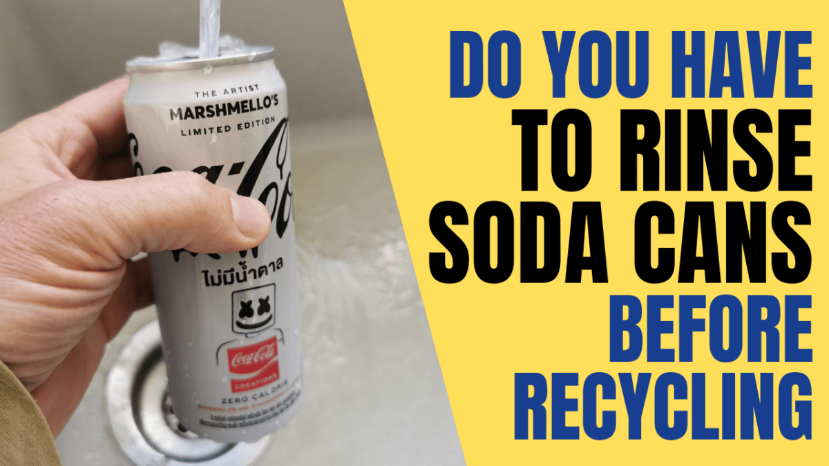 Do You Have to Rinse Soda Cans Before Recycling (Solved) Container FAQs
