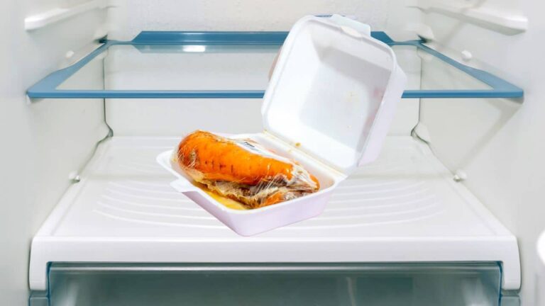 Is it Safe to Store Food in a Styrofoam Container in the Fridge