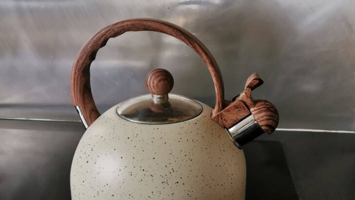 What Causes a Tea Kettle to Whistle? (Step by Step With Diagram)