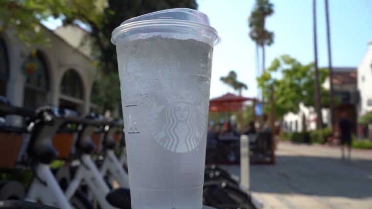 How many times is Starbucks water filtered? (Answered With Exclusive Details)