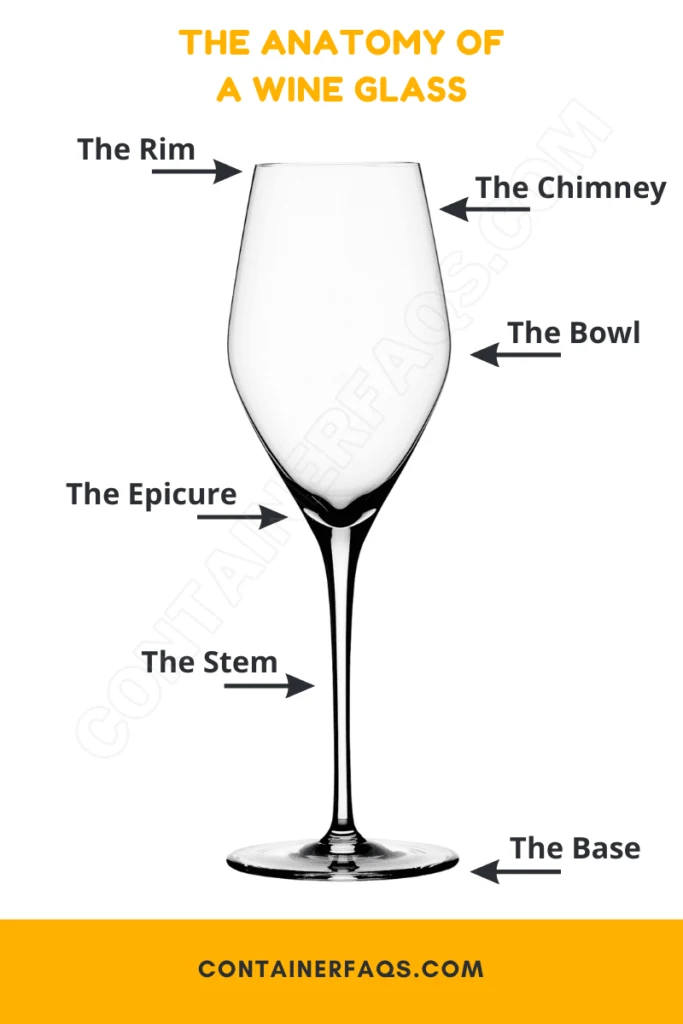 The anatomy of a wine/champagne glass