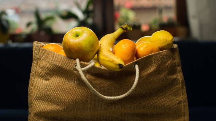 What Is the Most Environmentally Friendly Grocery Bag?