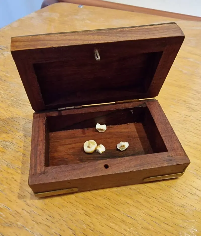 Vintage Chest for tooth