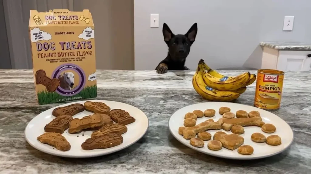 Store the Different Types of Dog Treats
