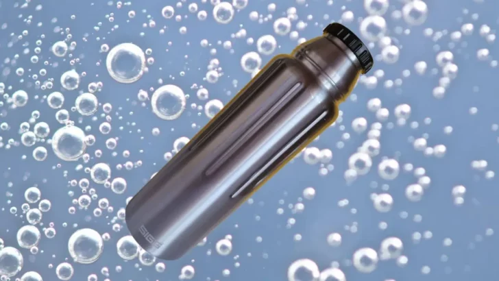 Can You Put Carbonated Drinks in Stainless Steel Bottle? (Solved and Explained)