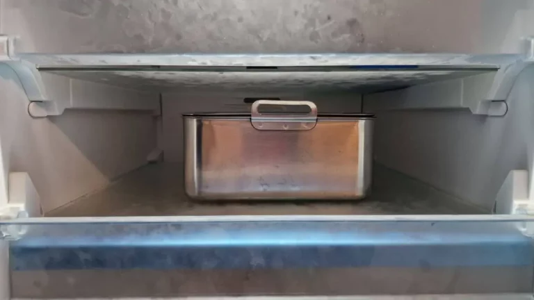 Can You Put Metal Containers in the Freezer? (Solved)